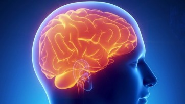 EEG of fMRI? Wil de echte neuromarketing-tool opstaan!