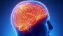 EEG of fMRI? Wil de echte neuromarketing-tool opstaan!