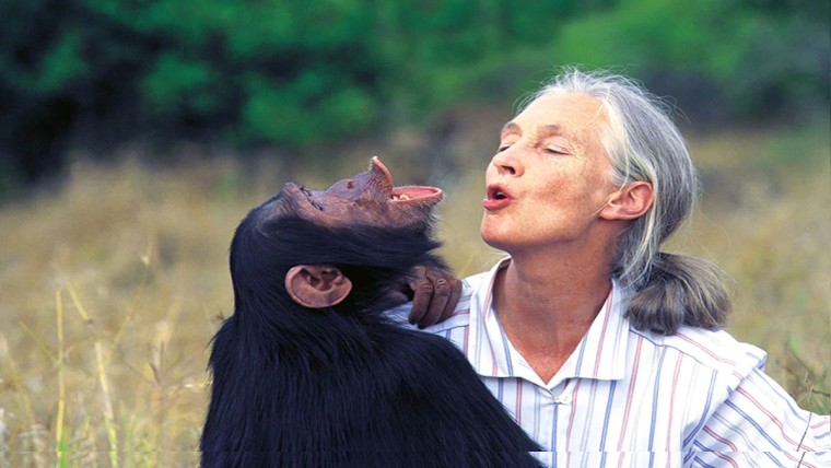 Jane Goodall