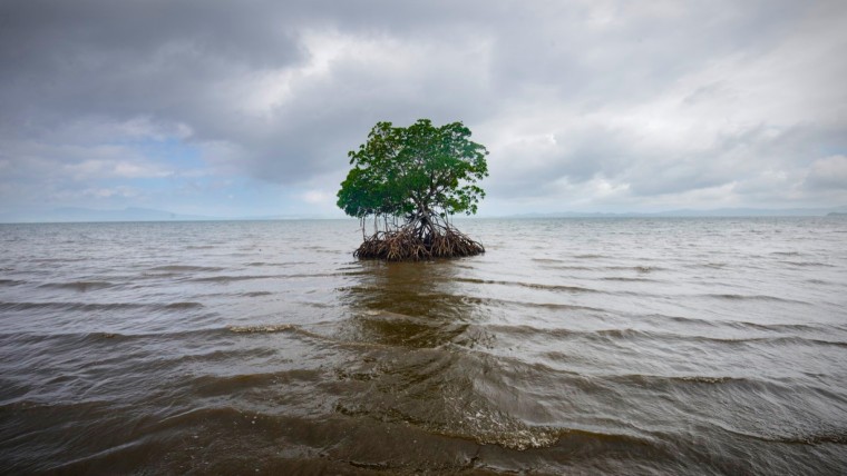 Kadir van Lohuizen - De kustlijn van Vunidogoloa, Fiji (2014)