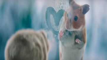 Kersthamster Albert Heijn grote retail-winnaar in breinonderzoek