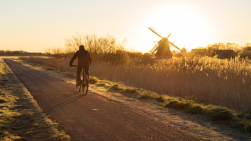 Focus op de regio: hierin verschillen de provincies