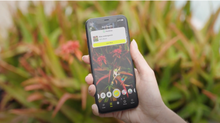 Snapchat’s PlantScan identificeert 90% van de bekende planten en bloemensoorten op de wereld