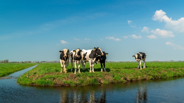 Methaanuitstoot verminderen