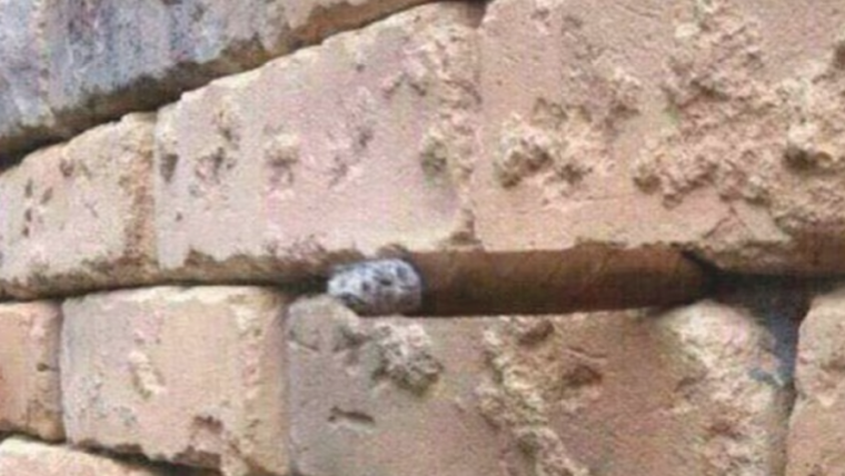 Cigar in the wall