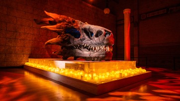 Kumpany ontwikkelt een activatie voor HBO-serie House of Dragons