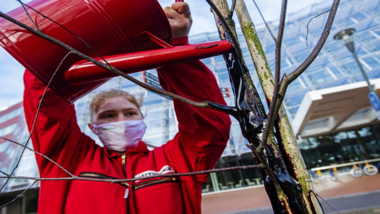 Actievoerders Greenpeace planten boom bij Staatsbosbeheer en overgieten die met olie (verdunde ketjap)