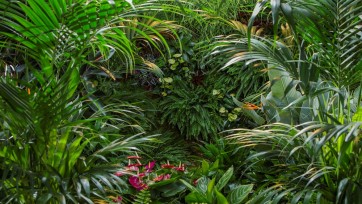 Bloemenbureau opent studio waar bezoekers kunnen badderen tussen planten