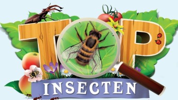 Dit keer geen moestuintjes bij de Albert Heijn, maar insecten sparen