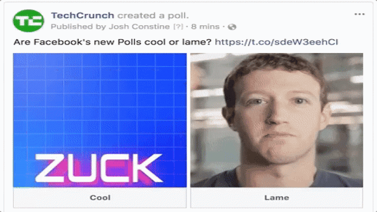 facebook-polls-gif.gif