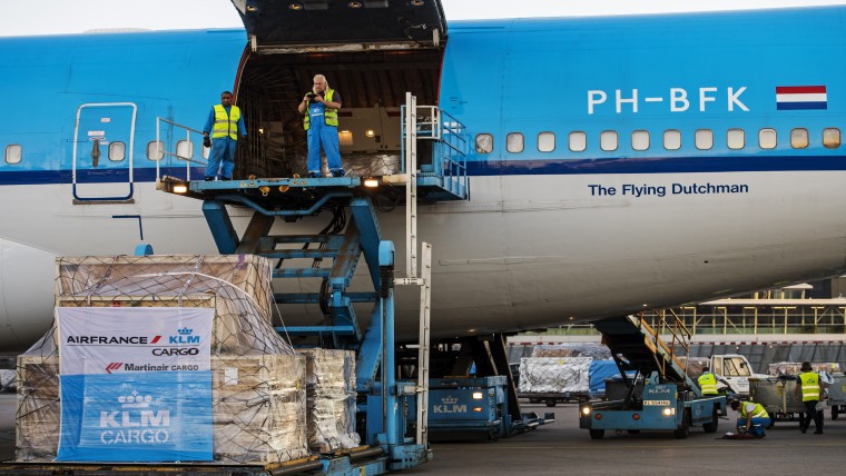 T. rex-botten van Naturalis geland met KLM-vlucht 