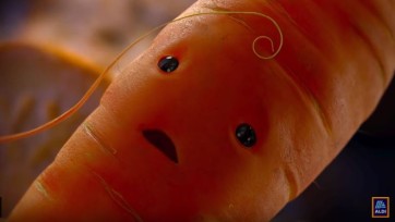 Kevin the Carrot zorgde voor 15,1% meer verkoop bij Aldi, dus hij komt terug met Kerst