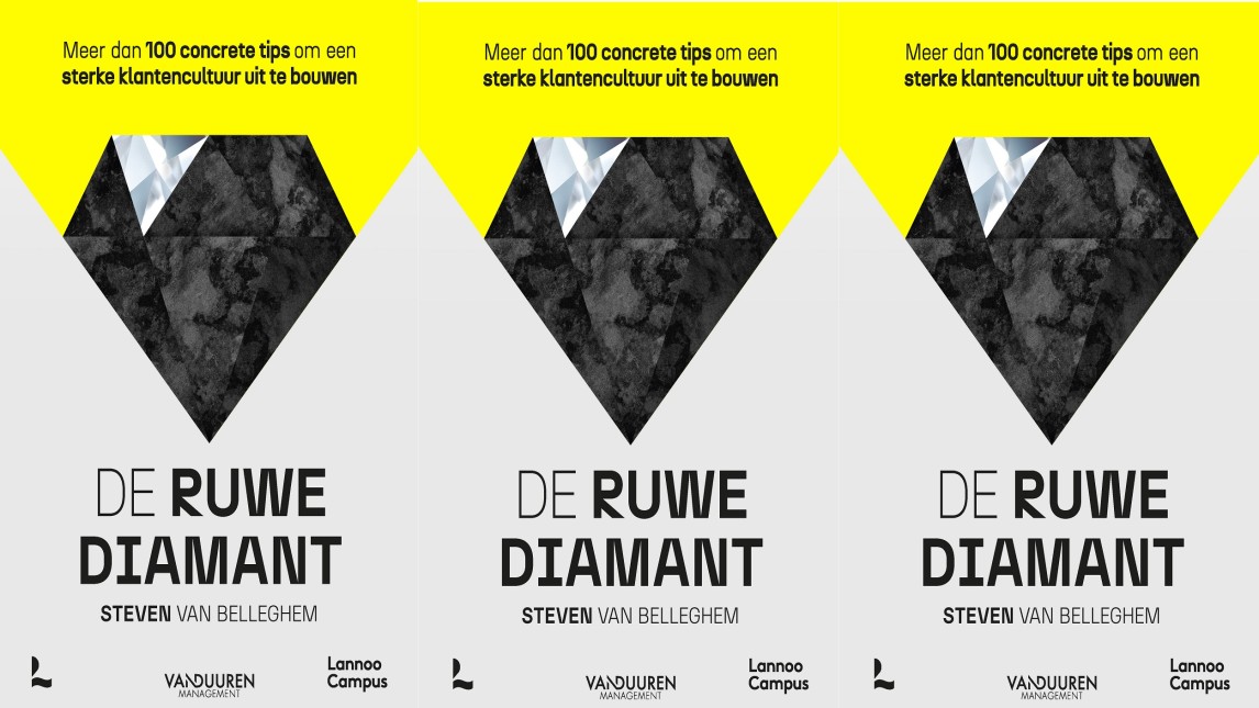 De ruwe diamant - Steven van Belleghem