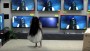 Viral van de week: horrorfilm Rings komt tot leven in winkel NYC