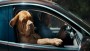 Volkswagen Group gaat internationaal creatieve account herzien