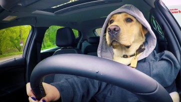 PR-campagne Opel wint goud in Cannes