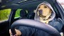 PR-campagne Opel wint goud in Cannes
