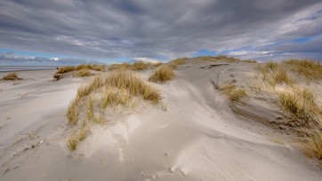 Waddeneilanden door persreisje op reislijst New York Times