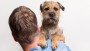Nestlé moedigt hond op het werk aan met ‘Pets at Work’