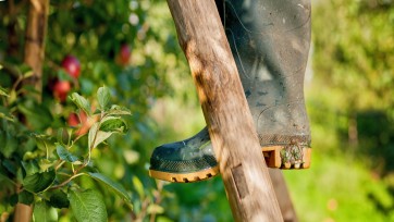 Bio-FMCG’er Wessanen stond tien jaar stil, nu is het tijd voor ‘double digit’