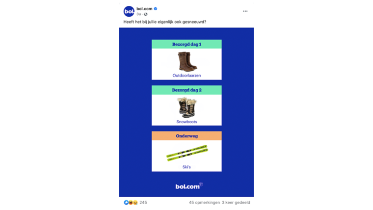 Bol.com Ski's