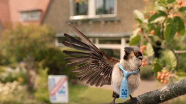 NVM lanceert campagne met een ‘huismus’ in de hoofdrol