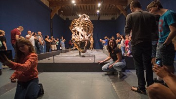 Corine van Impelen over het PR-succes van T. Rex in Town