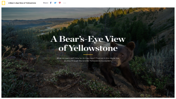 FWA highlights #12: A bear’s-eye view of Yellowstone, On the Roofs en Virtual Art Sessions