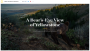 FWA highlights #12: A bear’s-eye view of Yellowstone, On the Roofs en Virtual Art Sessions