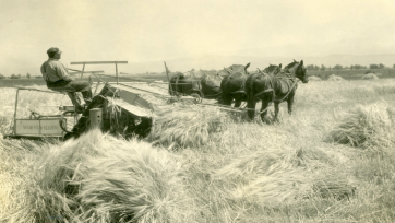 Dit zijn de risico’s van digital sharecropping