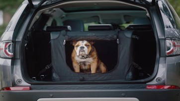 Een loopplank, matras en een luxe waterbak: Land Rover laat je hond heerlijk vertoeven