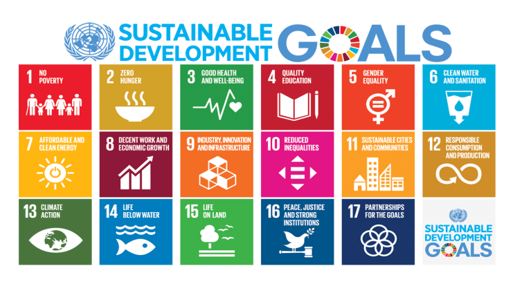 Sustainable development goals