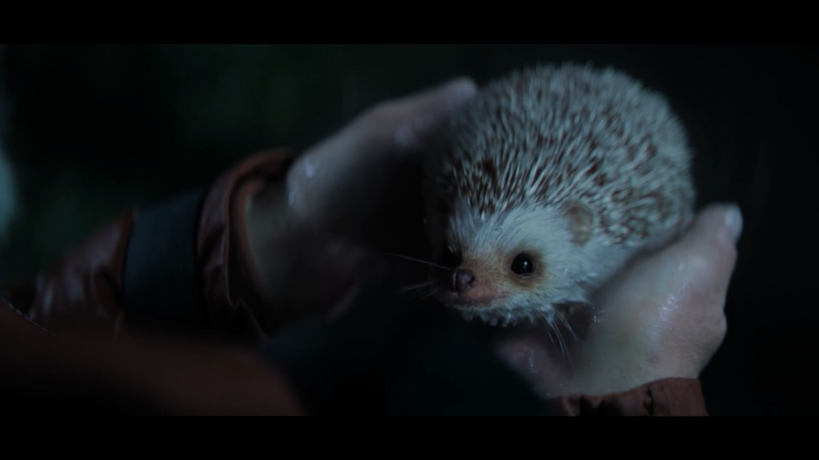 Het egeltje Freddie uit de winnende commercial van Staatsloterij