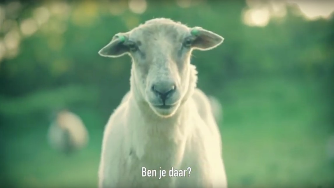 Miniatuurvoorbeeld