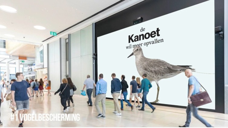 Winnaar Non-Profit: Vogelbescherming en KesselsKramer