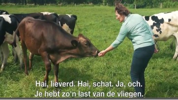 Initiative Tomorrow maakt documentaireserie met Zuivelhoeve voor Libelle TV