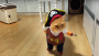 Viral van de week: kattenvideo goes viral