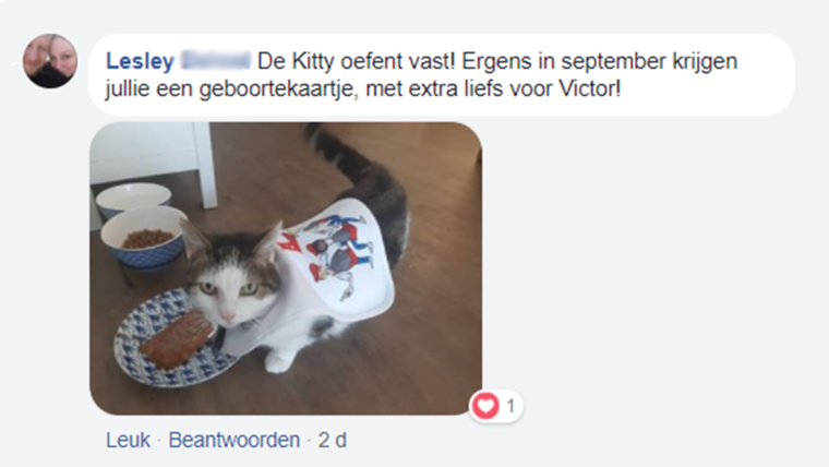 recatie Lesley 