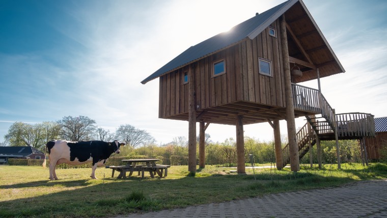 Liesje22 bij de boomhut langs de Regge