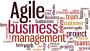 Agile Business Management: marktontwikkelingen snel en adequaat oppakken en doorvoeren