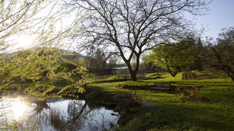 De tuin van Dr. Hauschka