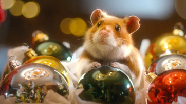 Kerstpanel: Albert Heijn heeft wederom de beste kerstcommercial