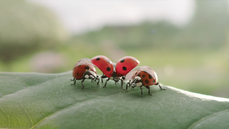 Miniatuurvoorbeeld