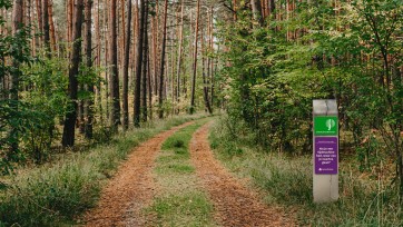 Natuurhuisje biedt Praatpaadjes voor gesprekken tijdens boswandeling
