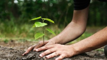 Natuurmonumenten na pitch naar Gardeners