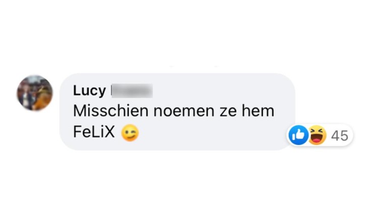 Comment