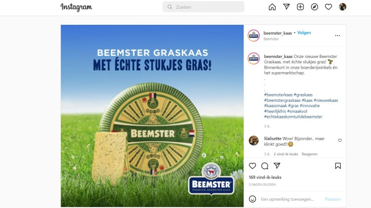 beemster met gras