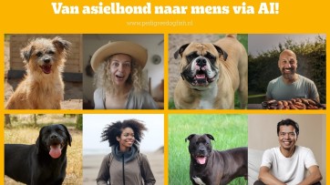 Pedigree vormt asielhonden met AI om tot mensen en plaatst de profielen op een datingsite