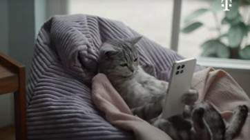 Deutsche Telekom reageert op copycat-commercial: ‘Wij kenden de KPN-reclame met kat niet’