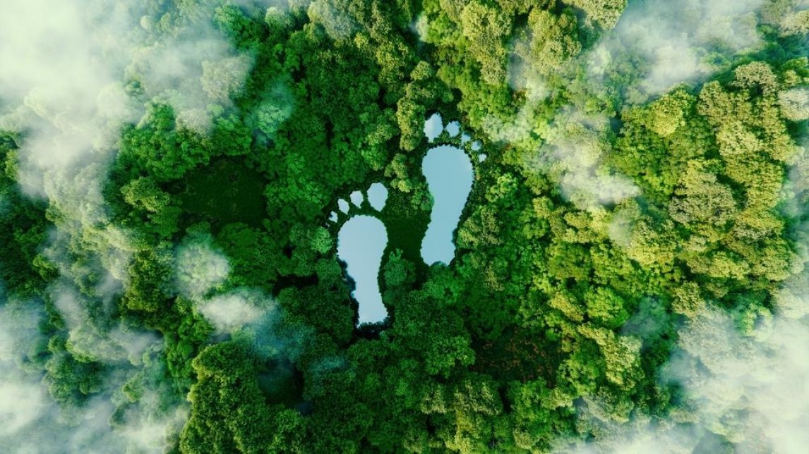 carbon footprint shutterstock